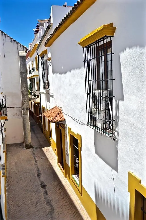 Acogedor Apt 8Pax 4Bdr 2Bth - Cozyhomesevilla1