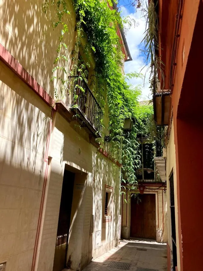 Acogedor Apt 8Pax 4Bdr 2Bth - Cozyhomesevilla1 0*, Sevilla